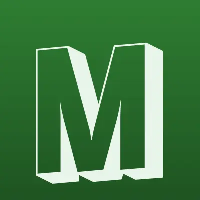 Магазин по продаже салютов, лого-визитка